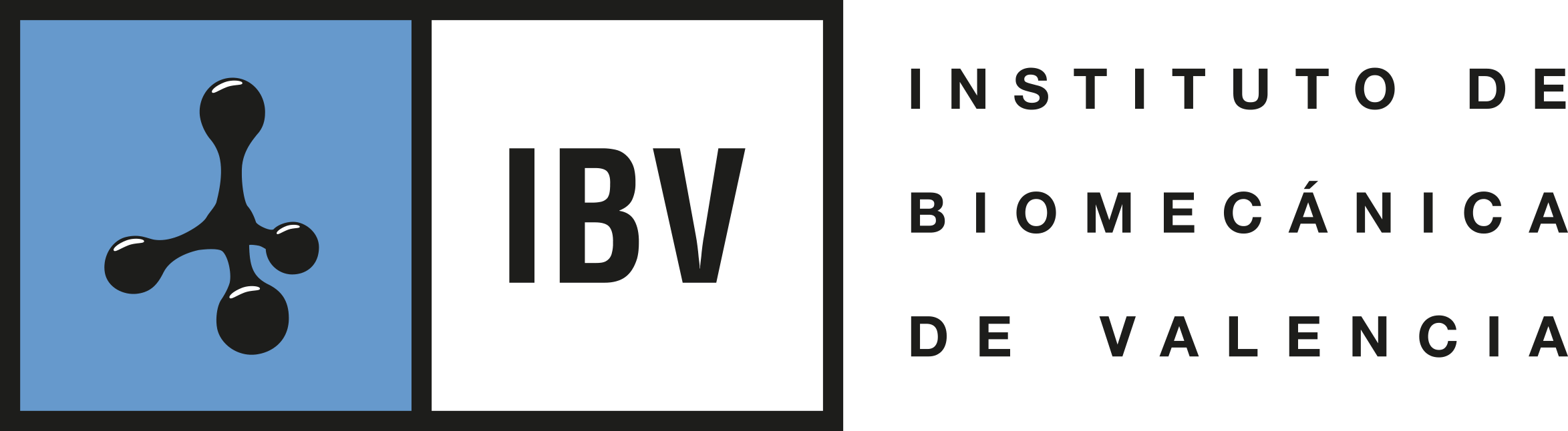 Instituto de Biomecánica (IBV)